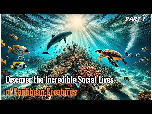 The Incredible Social Lives of Caribbean Creatures  Part 1