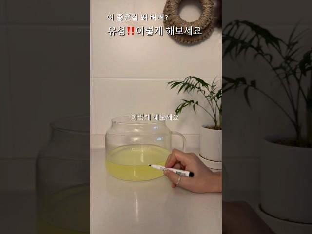 유청 버리지마세요‼️리코타치즈 만들기 #살림팁 #주부브이로그 #집밥브이로그 #살림브이로그