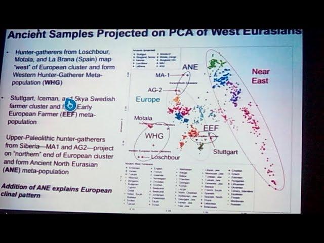 Genetics Reinforces the Eurasian Steppe & M.E. Origins of Europeans- Dr. Johannes Krause 2019