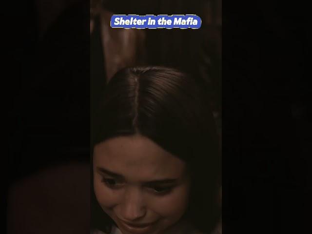 part2:   Shelter in the Mafia_#Drama #Suspense #Dialogue #Conflict #Plot Twist