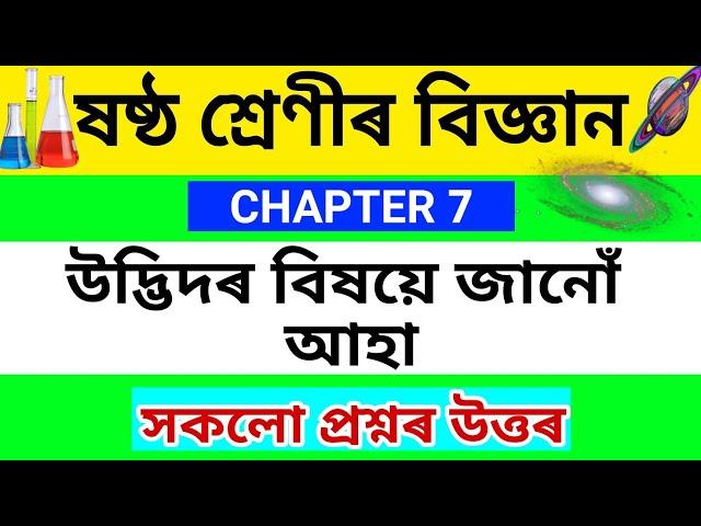 Class 6 science chapter 7 Question Answer  Assamese medium | উদ্ভিদৰ বিষয়ে জানো আহা