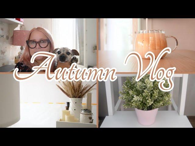 AUTUMN VLOG: UN SACCO DI NOVITA' BELLE E BRUTTE  | NUOVO BAGNO