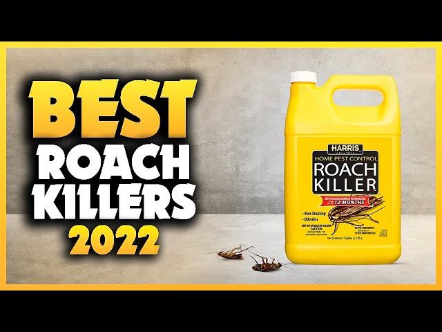 Top 5 Best Roach Killers You can Buy Right Now [2023]