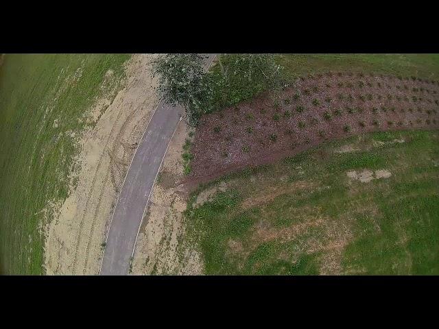 Stalowowolskie Błonia - FPV Drone Freestyle