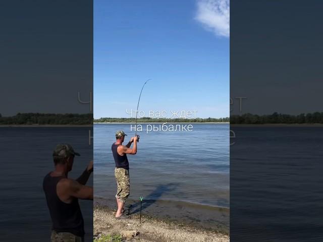 Что вас ждет на рыбалке #fishing #car#рыбалка #carping#улов#рыба#отдых #путешествия#карп #automobile