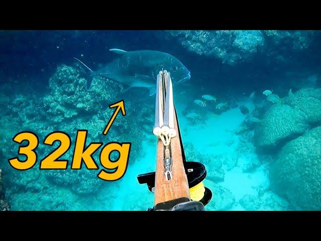 70lb Giant Trevally | Spearfishing in Japan