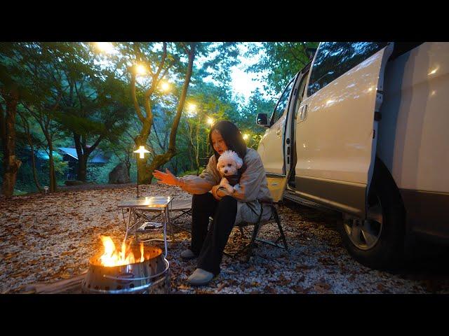 Autumn camping while listening to the sound of water in a valley deep in the forest