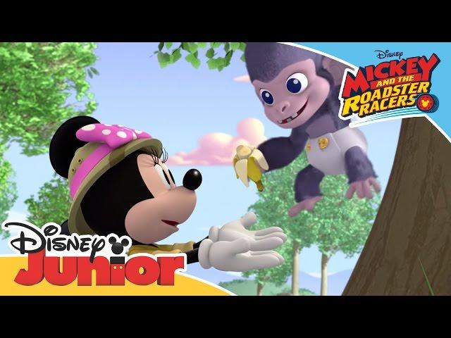 Mickey and the Roadster Racers - The Happy Helpers Rescue a Gorilla | Official Disney Junior Africa