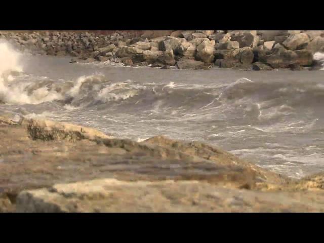 Video: Surfers at Bluffers Park