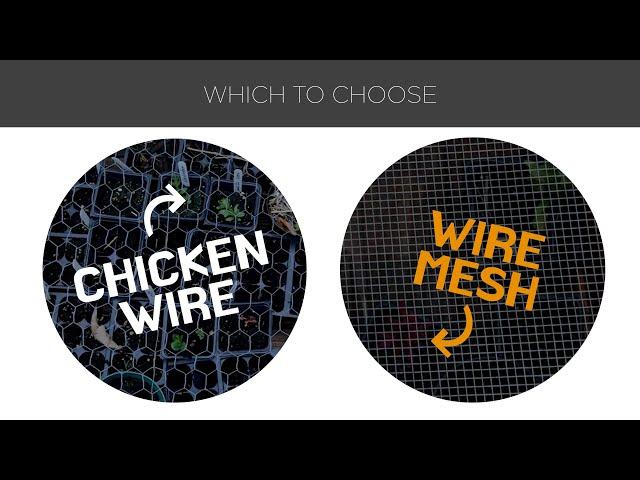 Chicken Wire vs. Wire Mesh: Which You Should Choose?