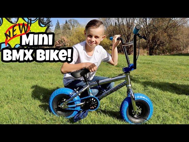 I Got a New Mini BMX Bike!