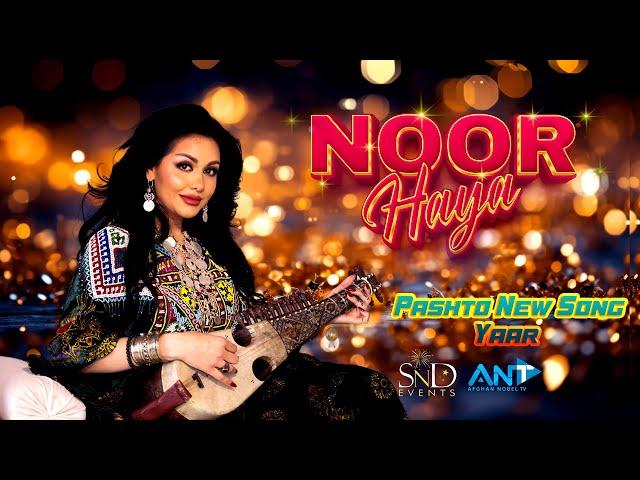 Pashto New Song Yaar  | Noor Haya