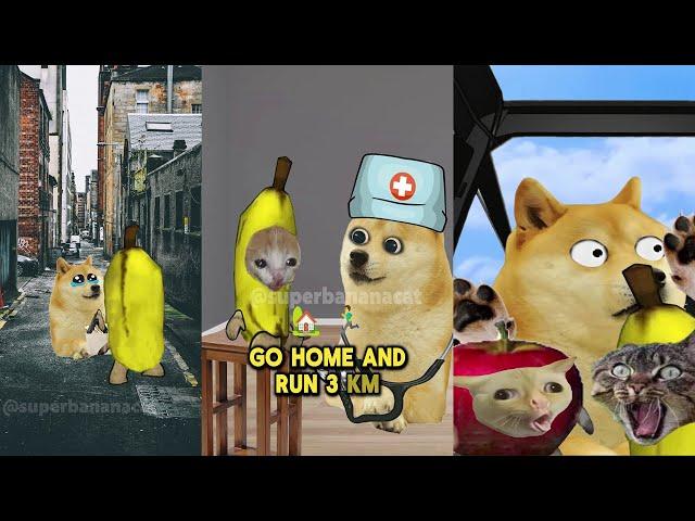 Silly Banana Cat And Friends Compilation 4K meme 