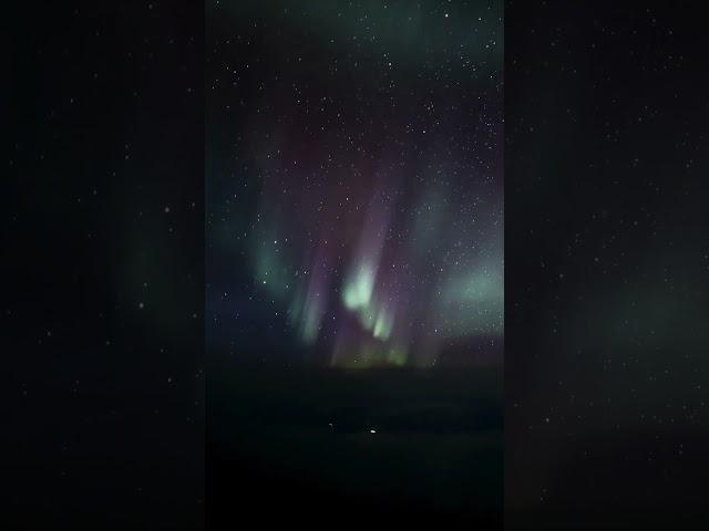 Northern lights from the B777 cockpit #shorts