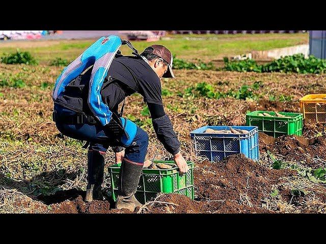 日本发明省力背包，老人背上轻松提起50斤重物，七十岁还能干重活