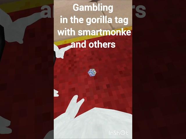 gambling in Gorilla tag with @smartmonkeVR and others #gorillatag #vr #gambling #funny
