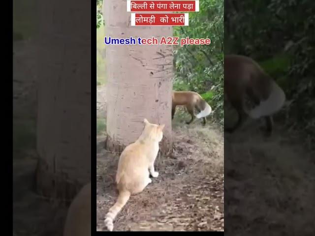 #Billee se panga lena pada bhari Umesh tech A2Z channel subscribe please 