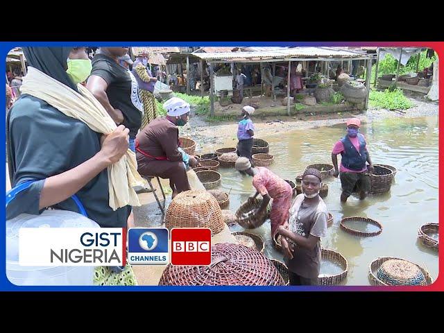 Nigeria's 'Bushmeat' Market ; The Many Concerns