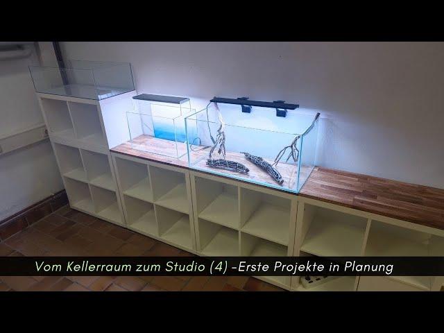 Vom Kellerraum zum Aquaristik Studio (4)  -Update und Schwarzwasser für das erste Projekt?