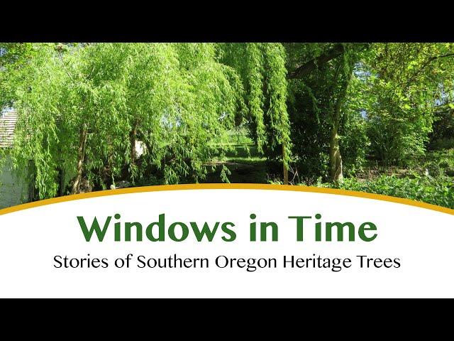 Stories of Southern Oregon Heritage Trees (Windows in Time)