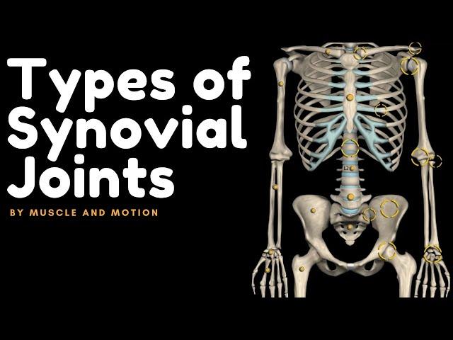 Types of Synovial Joints