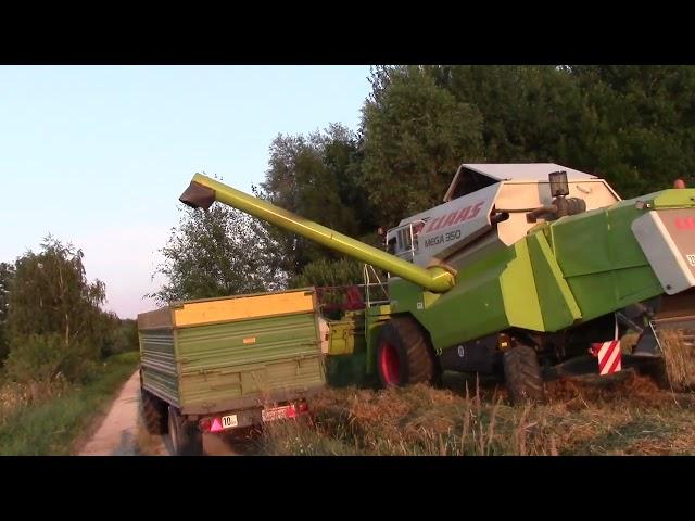 Hafer und Roggen dreschen mit Claas Mega 350