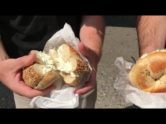 Brooklyn Bagel Blog review - David's Bagels, East Village