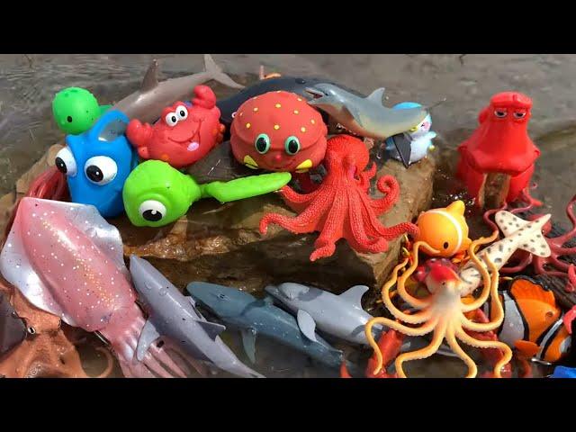 Sea Animal Toys for Kids - Fun and Educational Play