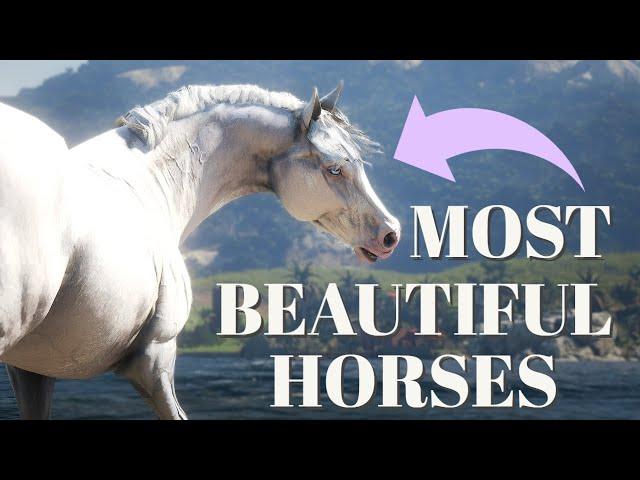 TOP 10 MOST BEAUTIFUL HORSES IN RED DEAD REDEMPTION 2  | Pinehaven