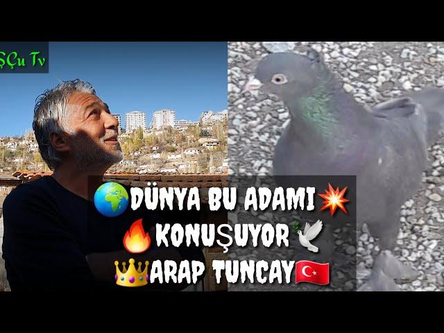 THE man who everone talking about Pigeons TUNCAY ANKARA