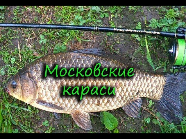 МОРМЫШИНГ. МОСКОВСКИЕ КАРАСИ ИЛИ "ЛАПТИ ДЛЯ КОЩЕЯ".)