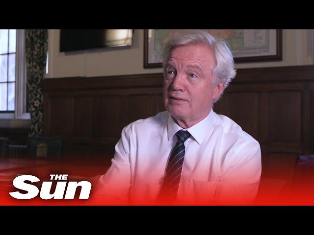 'Withhold cash from EU' David Davis gives Brexit tips to Boris
