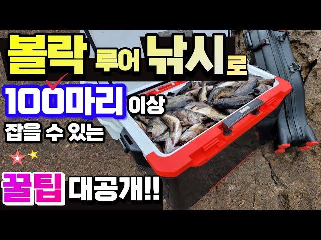 볼락루어 낚시하는 방법, 장비 그리고 핵꿀팁