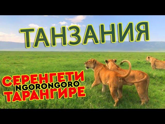 Отзывы туристов сафари в Танзании