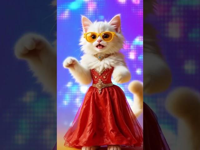 This Adorable Cat’s Dance Will Make Your Day! 