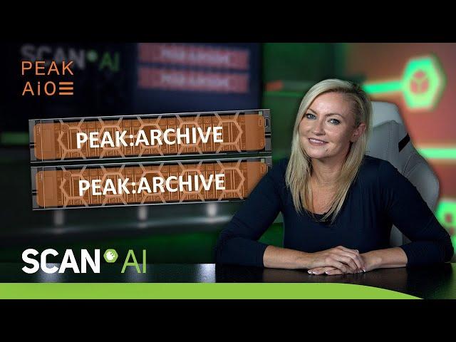 PEAK:ARCHIVE - providing fully automated tracing of AI decisions back to their data source