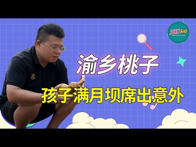 Yuxiang Taozi: Son's full moon wine dam seat exposed!