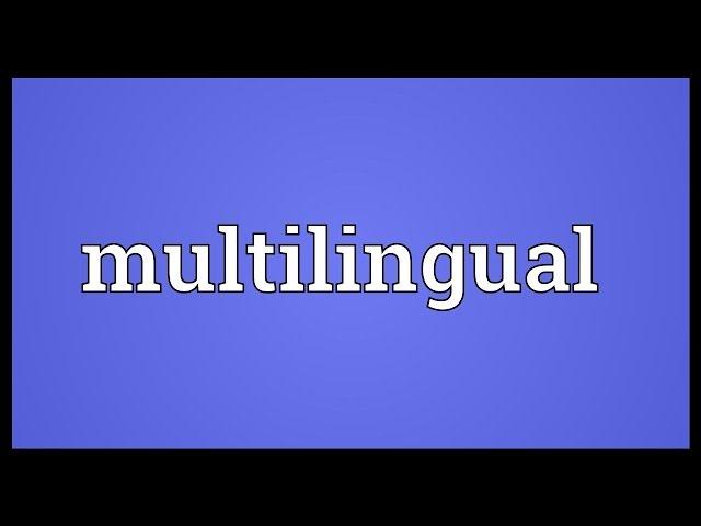 Multilingual Meaning