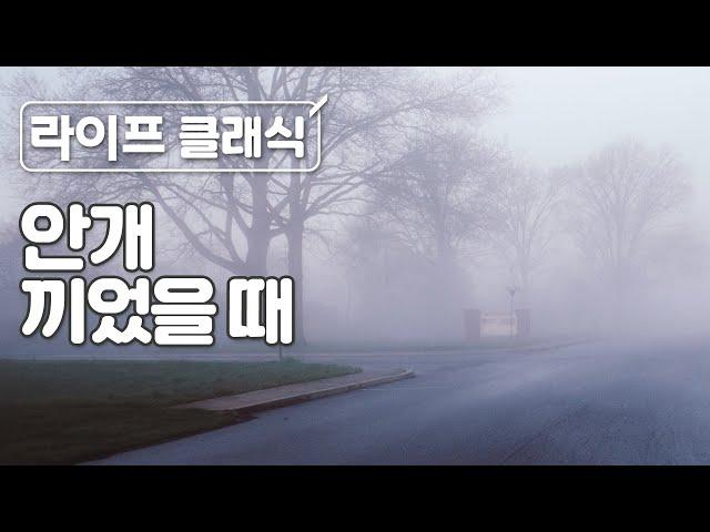 안개낀 아침 몽환적인 느낌의 클래식 피아노 | 몽롱한 | 꿈같은 | 릴렉스 |
