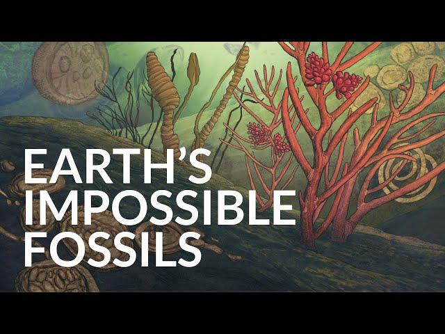 What Was The First Complex Life on Earth?