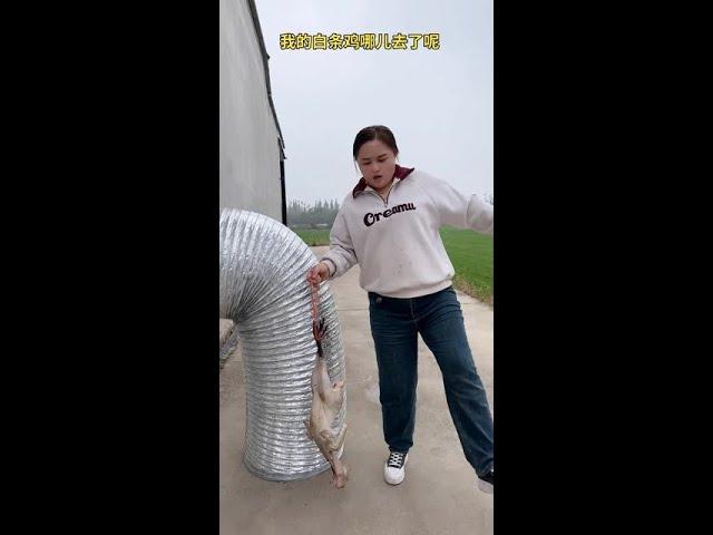 #FastGrowthPlan #FilmAndVideoToFutureStar #funnyvideo #funny #funnyshorts
