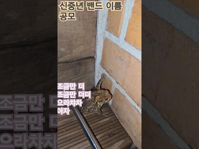 동행밴드의 새로운 이름을 공모 합니다.