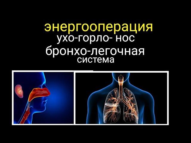 #энергооперация Ухо-Горло-Нос и бронхо-легочная система