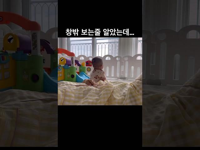 혼자서 밖을 보던 아기의 반전  #아기쇼츠#babyshorts#귀여운아기#baby#육아브이로그#육아일기