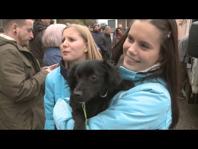 CasaAnimales Tiertransport nach inzlingen.