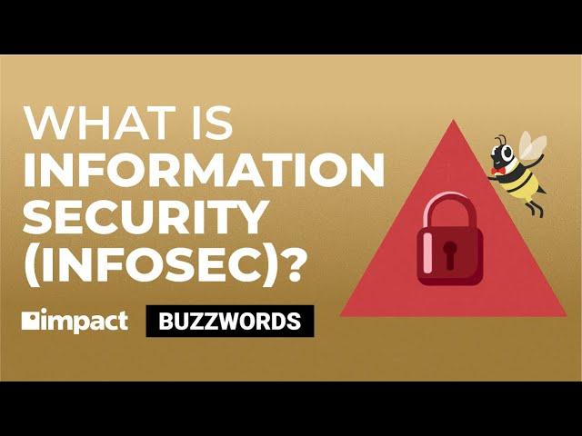 What is Information Security (InfoSec) | Buzzword