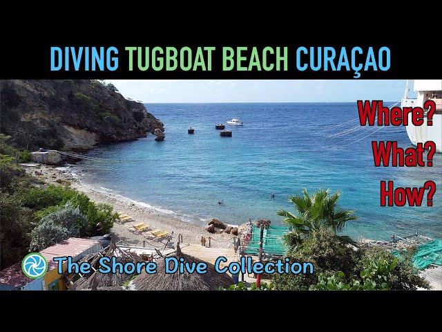 Diving Tugboat Beach Curaçao | The Shore Dive Collection | TropicLens   4K