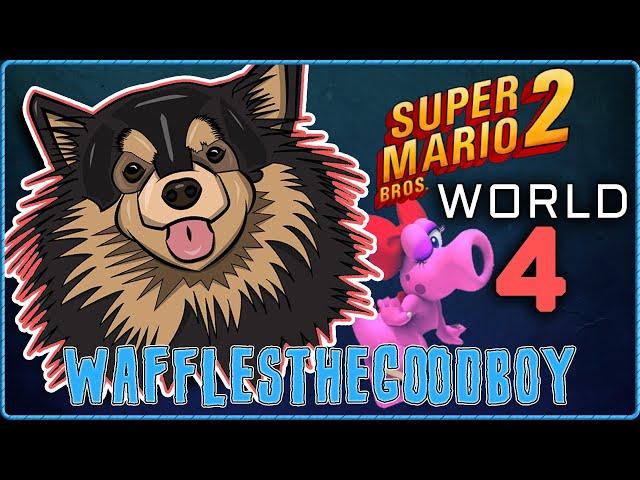 How Many Times Can I Die in Super Mario Bros. 2 - World 4