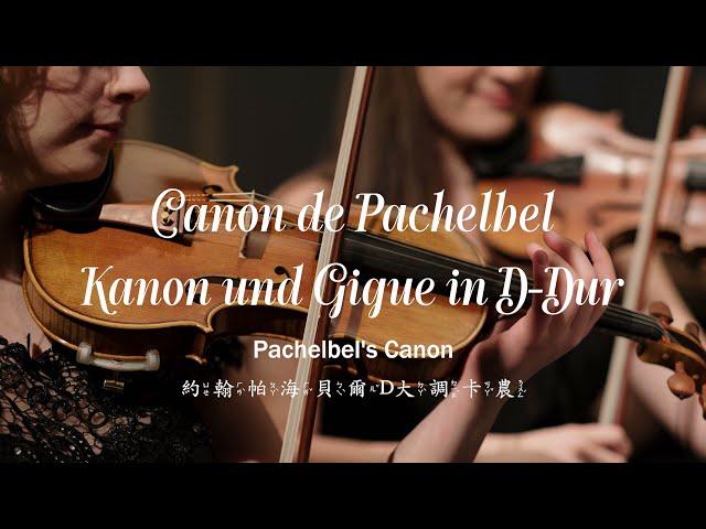  BGM│Pachelbel 帕海貝爾 - Canon! Kanon und Gigue in D-Dur für. D大調卡農與吉格. 