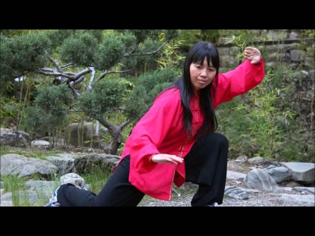 Meditation Tai Chi : Spiritual Meditation Music - Healing Music.